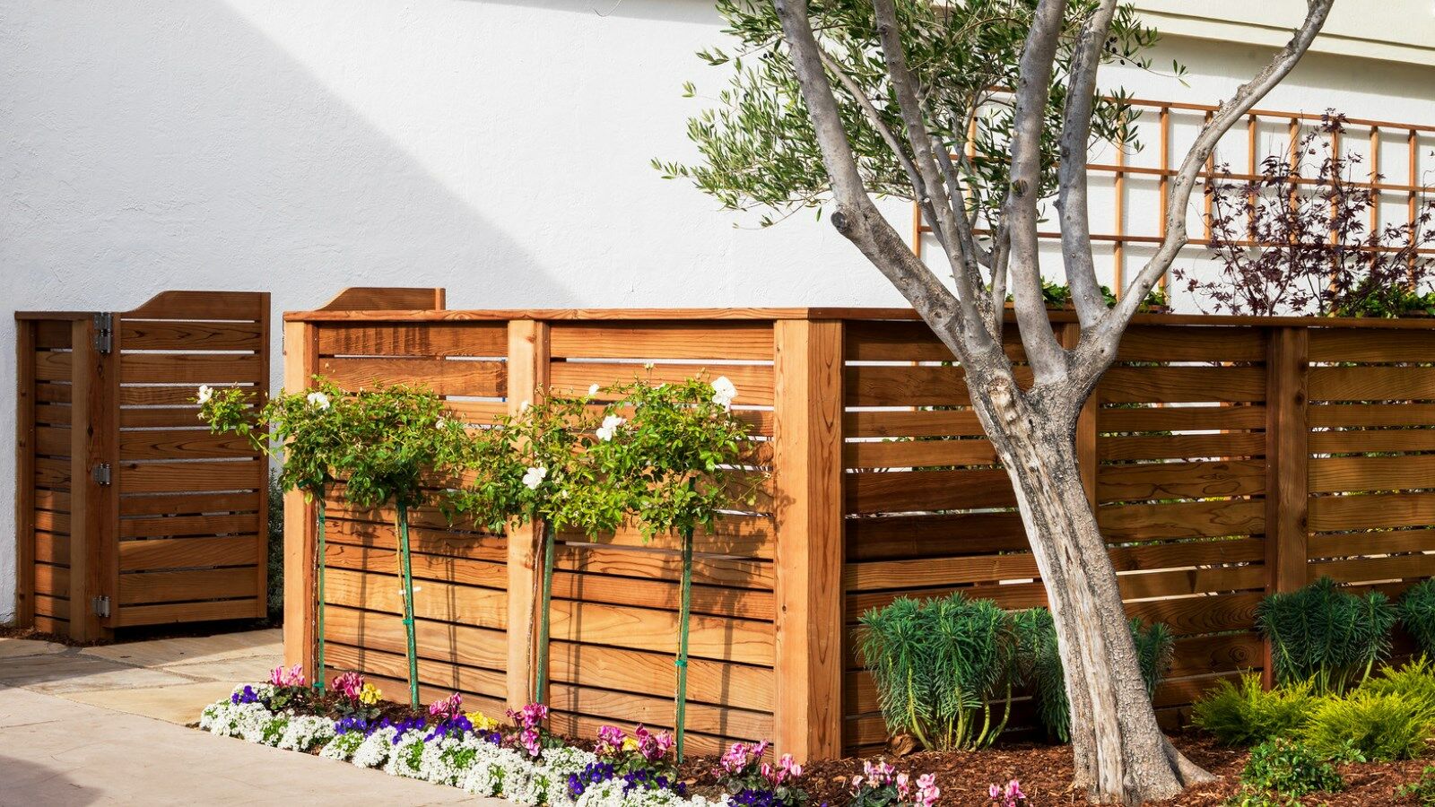 Four Points By Sheraton San Rafael Marin County Extérieur photo
